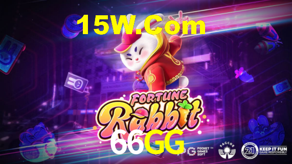 Premium Interface 66GG